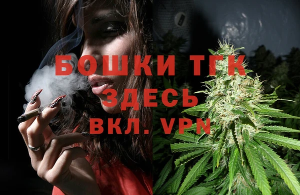 стаф Белоозёрский